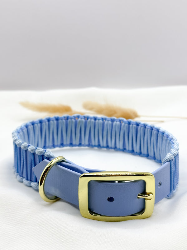 Biothanehalsband Modell Pepper Gr. M Babyblau Gold