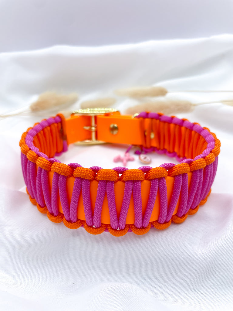 Biothanehalsband Pepper Orange / Pink - Peppaw Dogshop