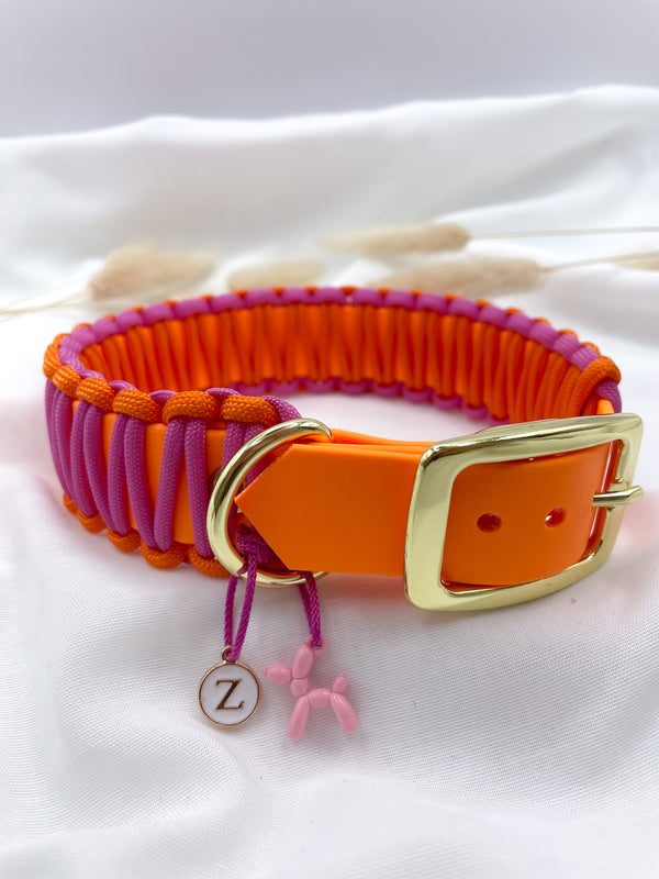 Biothanehalsband Pepper Orange / Pink - Peppaw Dogshop